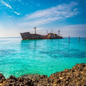تور-کیش--724-تور